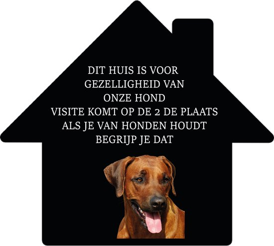 Echt Leyla - Echt Leyla, creatieve workshops en kinderfeestjes