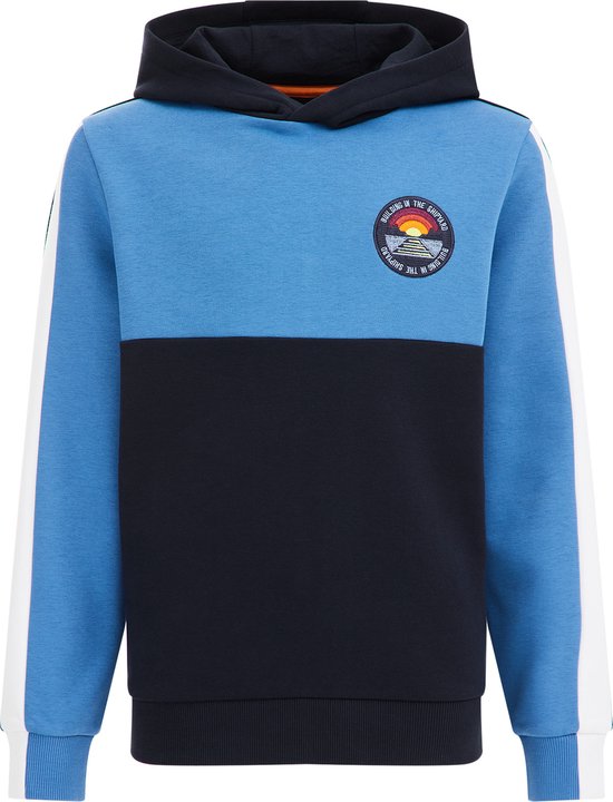 WE Fashion Jongens hoodie met colourblock