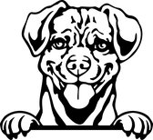 Sticker - Glurende Hond - Puggle - Zwart - 25x20cm - Peeking Dog