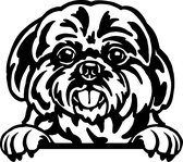 Sticker - Glurende Hond - Shit Tzu - Zwart - 25x20cm - Peeking Dog
