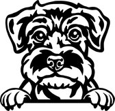 Sticker - Glurende Hond - Schnauzer - Zwart - 25x20cm - Peeking Dog