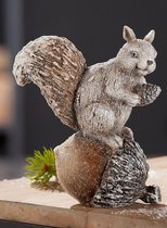 Eekhoorn Findus grote eikel polyresin 15,5 cm hoog - herfstfiguur - winterfiguur - beeld - decoratie voor binnen - interieurdecoratie - herfstcollectie - wintercollectie - geschenk - cadeau - gift - verjaardag - Kerst - Nieuwjaar