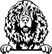 Sticker - Glurende Hond - Engelse Spaniel - Zwart - 25x20cm - Peeking Dog