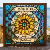 This Wild Life - Petaluma (CD)