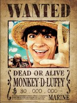 One Piece Wanted Luffy Art Print 30x40cm | Poster
