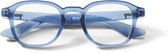 IKY EYEWEAR leesbril RG-4004D blauw +3.00