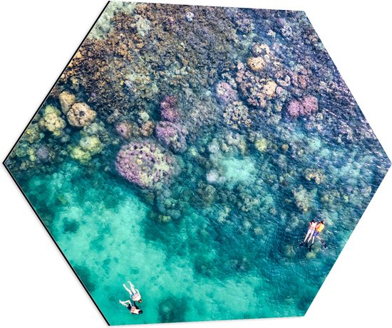 Dibond Hexagon - Duiken - Snorkelen - Toeristen - Zee - Oceaan - Koraal - 80x69.6 cm Foto op Hexagon (Met Ophangsysteem)