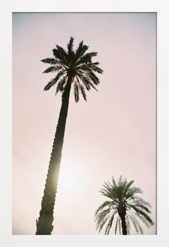 JUNIQE - Poster in houten lijst Palm Trees -20x30 /Roze