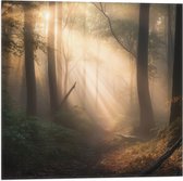 Vlag - Bomen - Bos - Pad - Zonlicht - Bladeren - 50x50 cm Foto op Polyester Vlag