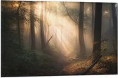 Vlag - Bomen - Bos - Pad - Zonlicht - Bladeren - 90x60 cm Foto op Polyester Vlag