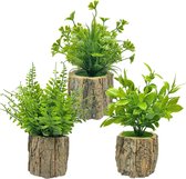 Plantes artificielles 3 pièces, fleurs artificielles, tout comme de vraies mini plantes, pour salle de bain, salon, canapé de fenêtre, bureau, décoration intérieure
