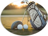 PVC Schuimplaat Ovaal - Golf - Golfbal - Sport - Hobby - Tas - Gras - 80x60 cm Foto op Ovaal (Met Ophangsysteem)