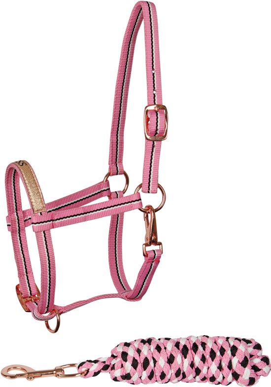 Roze halster met zwarte en witte strepen en bijpassend touw met koperkleurige gesp. Tekst 'PRINCESS' op neusband.