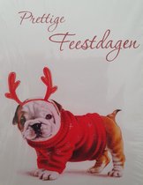 Kerstkaarten-Bulldog-Katten-Honden-40-Stuks-Enveloppen-Feestdagen