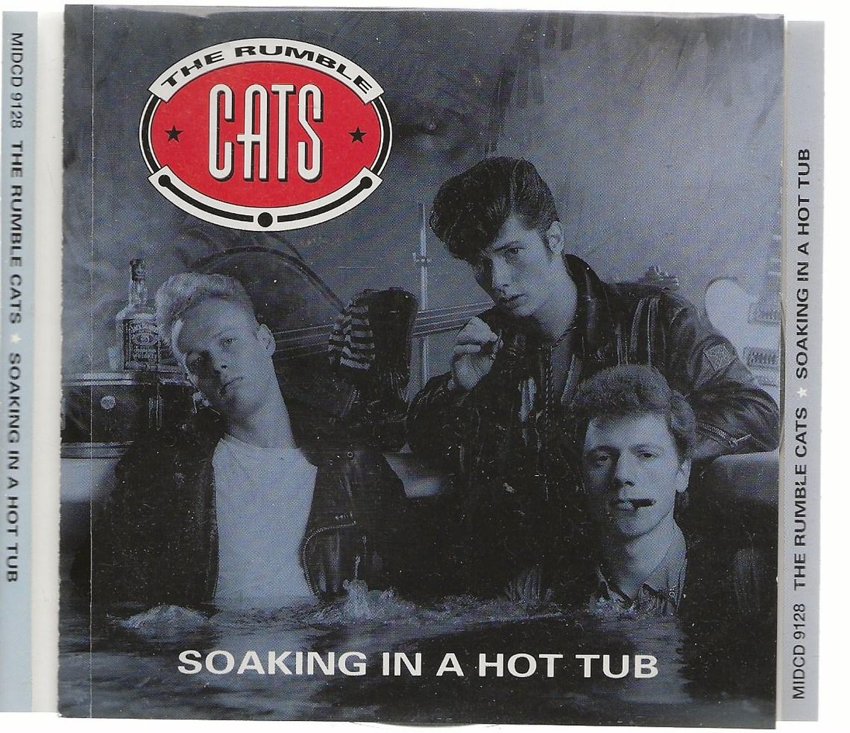 THE RUMBLE CATS - SOAKING IN A HOT TUB