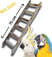 Extra grote XL klimladder voor vogels | klimladder voor papegaaien | ladder voor papegaaien | vogel ladder |