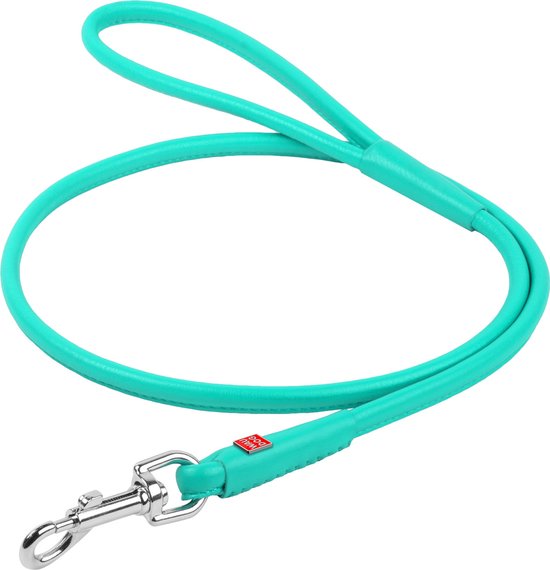 WAUDOG Glamour Hondenriem / Hondenlijn - Rond Leder - Mint - Diameter: 6 mm - Lengte: 122 cm