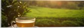 Acrylglas - Kop Thee met Uitzicht over Landgoed - 60x20 cm Foto op Acrylglas (Met Ophangsysteem)