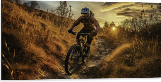 Dibond - Mountainbikers door de Duinen tijdens Zonsondergang - 100x50 cm Foto op Aluminium (Met Ophangsysteem)