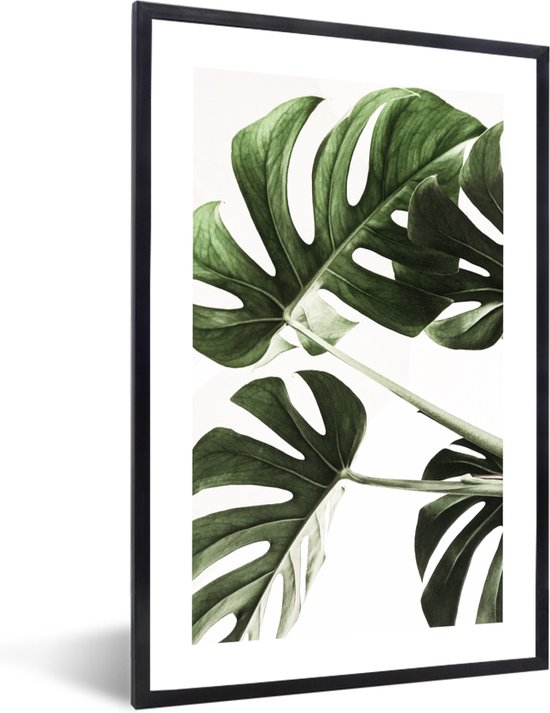 FrameYourWall® - Fotolijst met poster 40x60 - Bladeren - Monstera - Groen - Natuur - Fotokader van hout - Kaders en lijsten - Houten fotolijstje - Wissellijst voor muurposter - Picture en photo frame - Posterlijst - Fotohouder