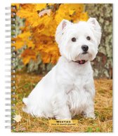 Agenda 2024 du West Highland White Terrier