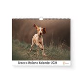 Kalender 2024- Bracco Otaliano - 35x24cm - 300gms - Spiraalgebonden - Inclusief ophanghaak
