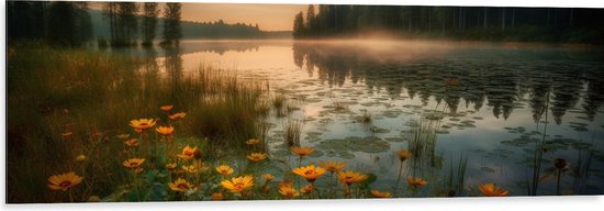 Dibond - Gele Bloemen Dobberend op het Water bij Bomen - 120x40 cm Foto op Aluminium (Wanddecoratie van metaal)