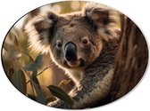 Dibond Ovaal - Nieuwsgierige Koala Vanachter Dikke Boom - 40x30 cm Foto op Ovaal (Met Ophangsysteem)