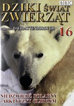 Dziki Świat Zwierząt 16: Niedźwiedź Polarny - Arktyczny Olbrzym (BBC) [DVD]