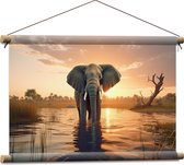 Textielposter - Olifant Lopend door Laagstaand Beekje bij Zonsondergang - 60x40 cm Foto op Textiel