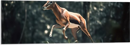 Acrylglas - Antilope Springend door het Bos - 120x40 cm Foto op Acrylglas (Met Ophangsysteem)