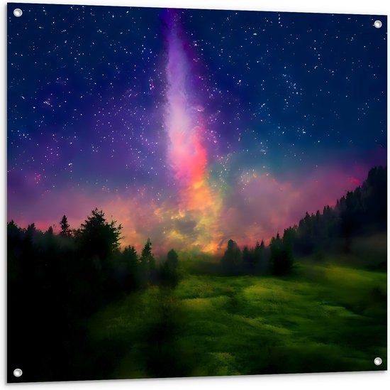 Tuinposter – Melkweg boven Bos in de Nacht - 100x100 cm Foto op Tuinposter (wanddecoratie voor buiten en binnen)