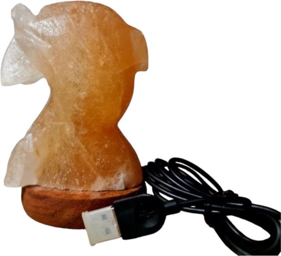 Himalaya Zout USB LED Dolphin Computergebruik met snoer en USB