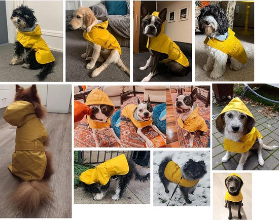 Manteau imperméable pour chien avec capuche, doublure douce, veste de pluie...  | bol