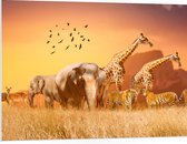 PVC Schuimplaat- De Dieren van het Afrikaanse Landschap - 100x75 cm Foto op PVC Schuimplaat