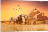 PVC Schuimplaat- De Dieren van het Afrikaanse Landschap - 90x60 cm Foto op PVC Schuimplaat
