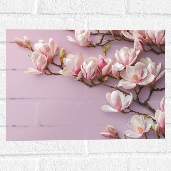 Muursticker - Roze Magnolia Bloemen bij Roze Achtergrond - 40x30 cm Foto op Muursticker