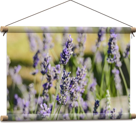 Textielposter - Paarse Lavendel Bloemen aan Lange Stengels in Grasveld - 60x40 cm Foto op Textiel
