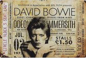 Wandbord Muziek Concert - David Bowie - Odeon Hammersmith 1973