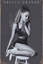 Wandbord Muziek Concert - Ariana Grande