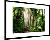 Fotolijst incl. Poster - Jungle - Palmboom - Pad - Jongens - Meisjes - Kids - 120x80 cm - Posterlijst