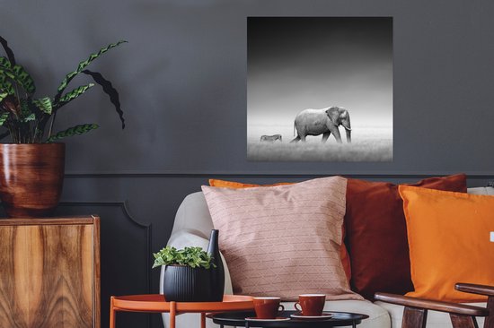 Poster Éléphant - Animaux - Paysage - Zwart et Blanc - Zèbre - 50x50 cm
