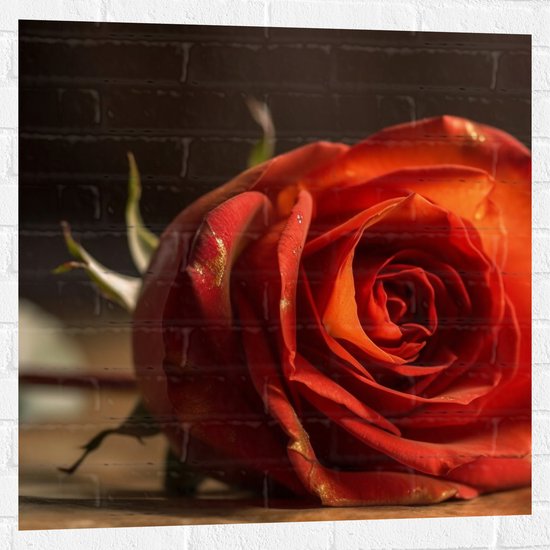 Muursticker - Mooi Rode Roos Liggend op Tafel met Donkere Achtergrond - Bloemen - 80x80 cm Foto op Muursticker