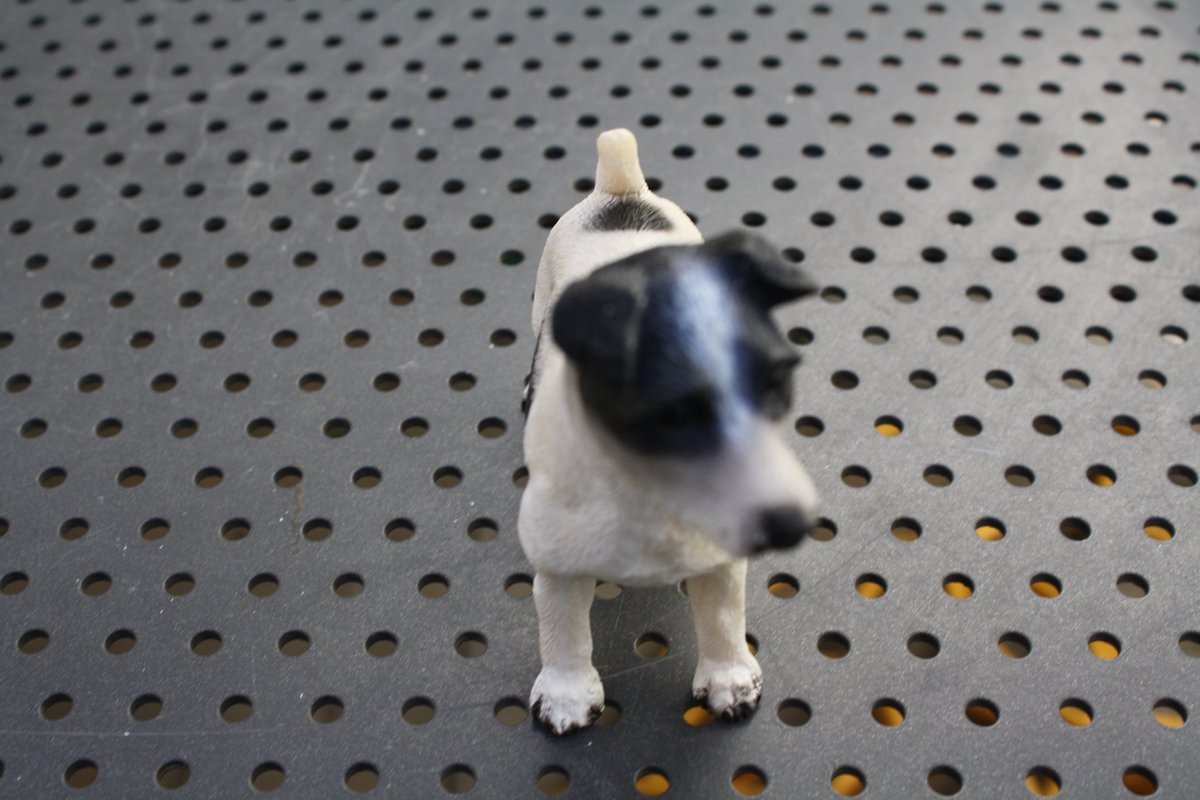 Dog's life collectibles Jack Russell zwart wit