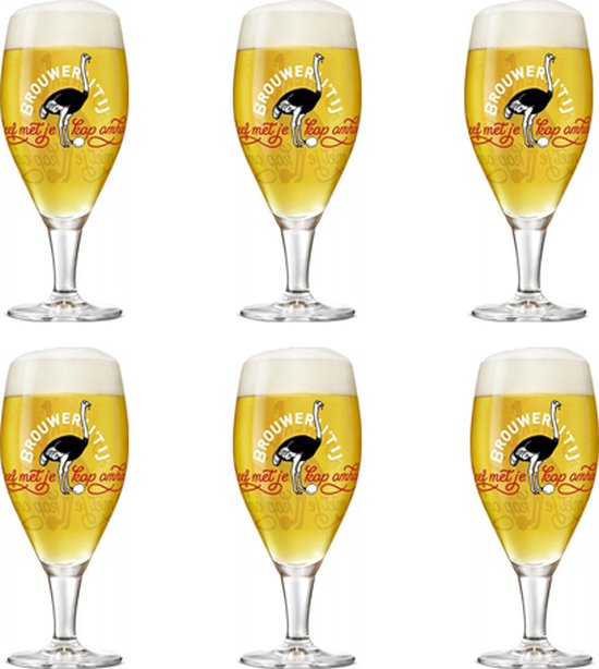 Brouwerij 't IJ speciaal bierglazen - 30cl - 6 stuks | bol.com