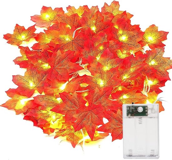 Lichtsnoer Voor Herfst Bladeren Herfstslinger 3 Meter 20 Leds lichtsnoer-voor-herfst-bladeren-herfstslinger-3-meter-20-leds