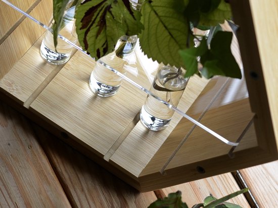 Plantenhanger binnen - Stekstation - Bamboe plantenhanger - Incl. 3 reageerbuisjes