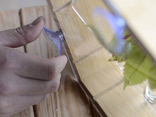 Plantenhanger binnen - Stekstation - Bamboe plantenhanger - Incl. 3 reageerbuisjes