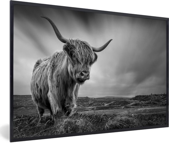 PosterMonkey - Poster - Cadre photo - Scottish Highlander - Nature - Vache - Zwart et blanc - Cadre - 90x60 cm - Affiche noir et blanc - Photo sous cadre - Poster Scottish Highlander - Cadre pour affiche