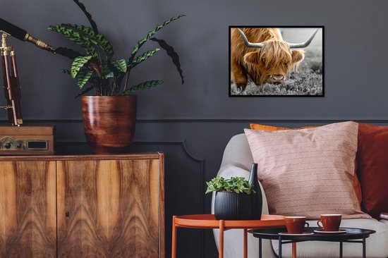 Cadre photo avec affiche - Couleur - Zwart - Wit - Scottish Highlander - 40x30 cm - Cadre pour affiche